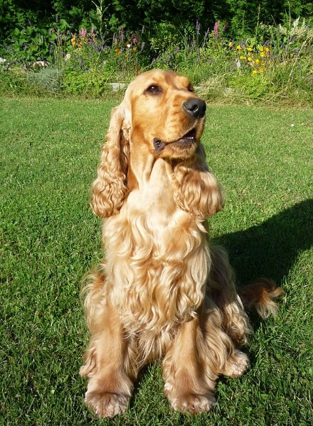 21.7.2009 postoje 014.jpg